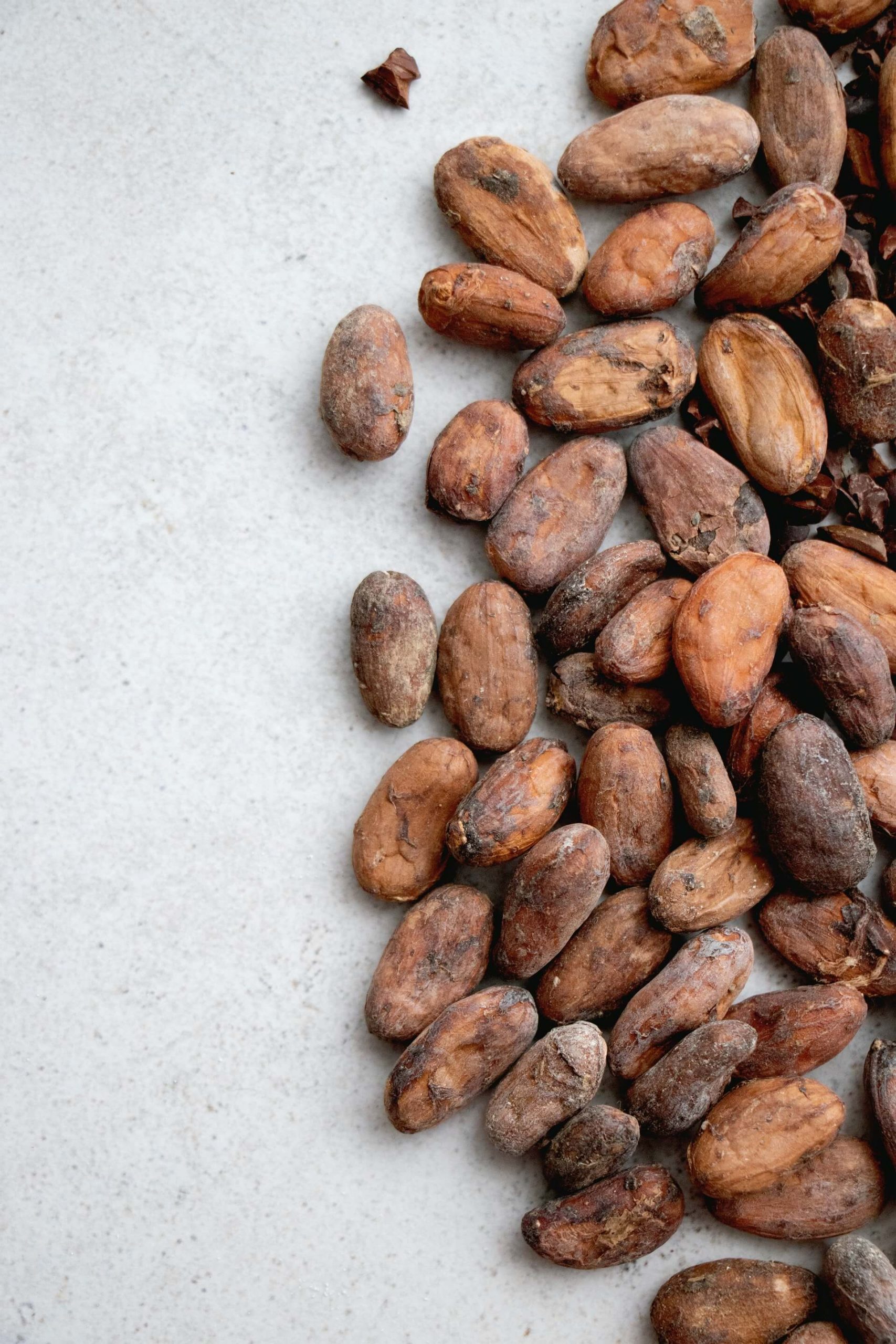 Drogocenne ziarna kakaowca w kosmetyce – co można z nich uzyskać?